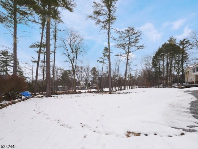 view of snowy yard