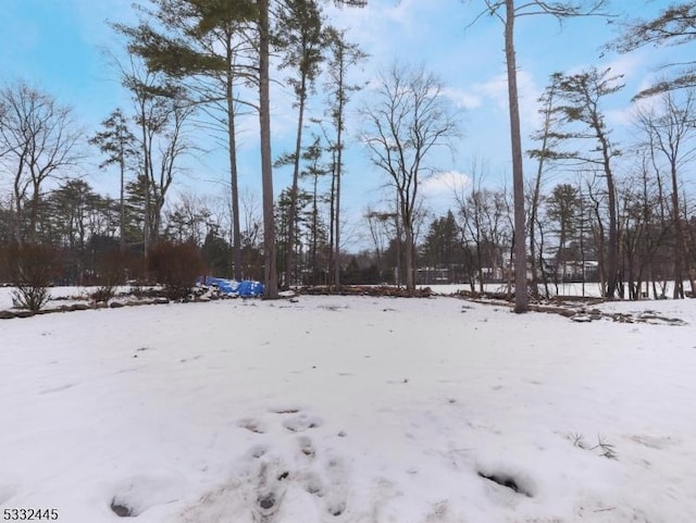 view of yard covered in snow