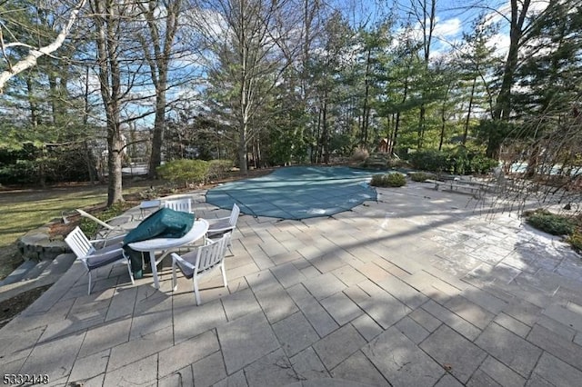 view of pool featuring a patio