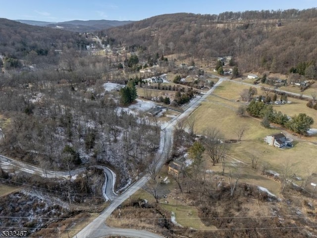 drone / aerial view featuring a mountain view