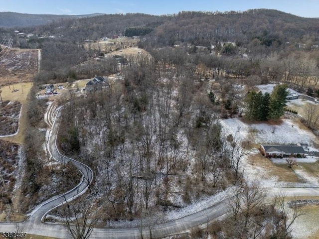 drone / aerial view with a mountain view