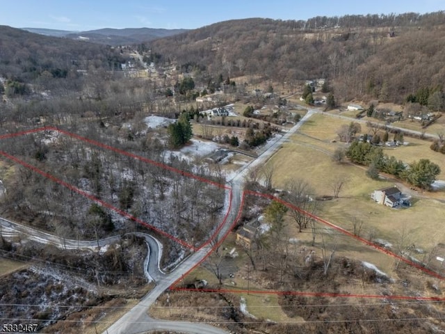 birds eye view of property with a mountain view