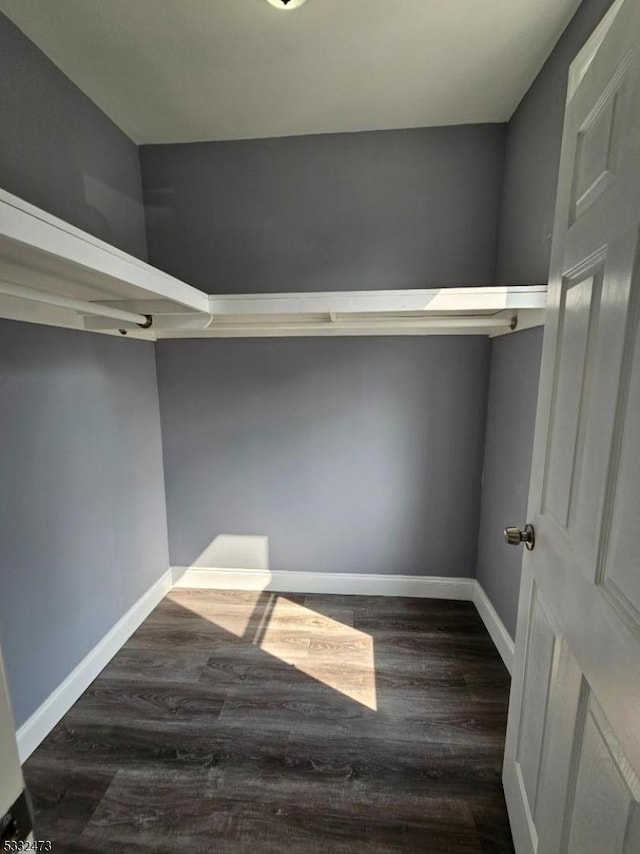 walk in closet with dark hardwood / wood-style flooring