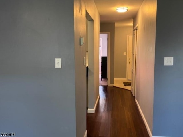 hallway featuring dark wood-type flooring