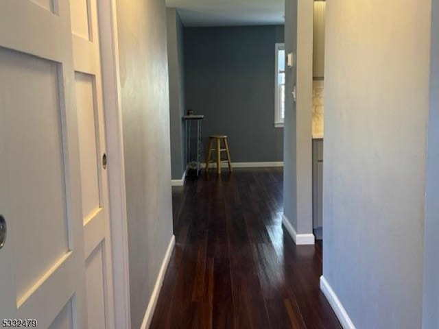 hall with dark hardwood / wood-style flooring