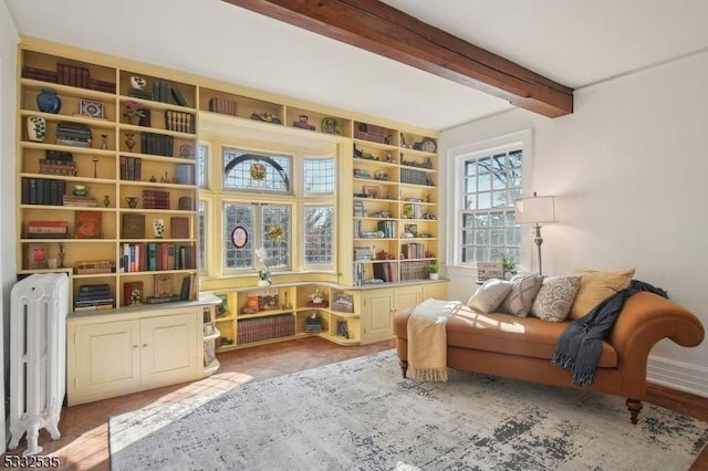 living area featuring beam ceiling