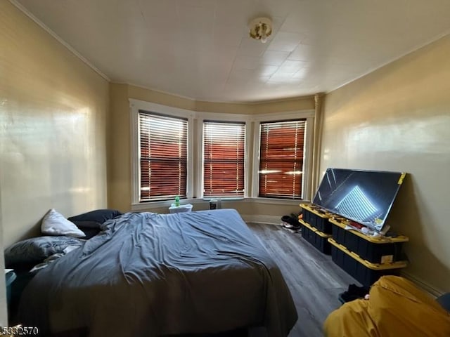 bedroom featuring hardwood / wood-style floors