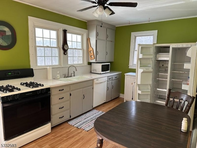 kitchen with plenty of natural light, light hardwood / wood-style floors, white appliances, and sink