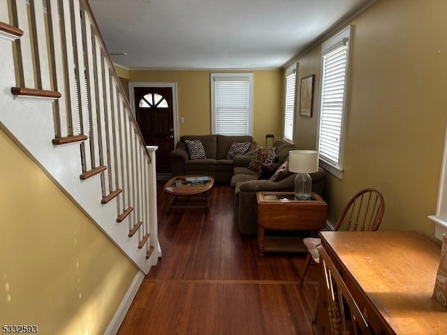 living room with dark hardwood / wood-style flooring