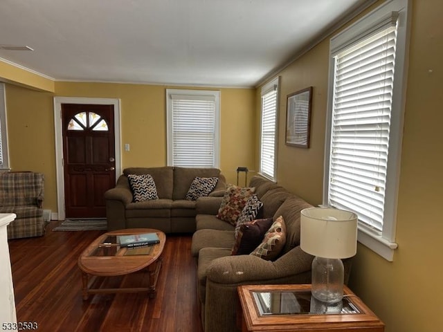 living room with dark wood-type flooring