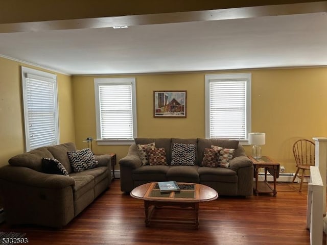 living room featuring dark hardwood / wood-style flooring and a baseboard heating unit