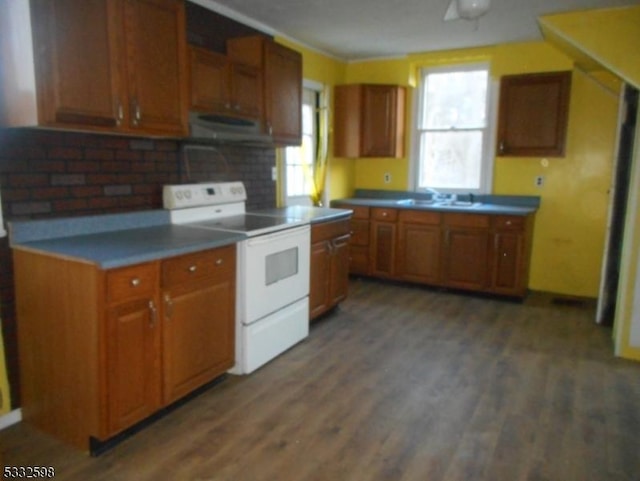 kitchen featuring white electric range oven, a healthy amount of sunlight, sink, and dark hardwood / wood-style floors