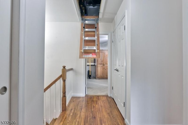 hall featuring hardwood / wood-style floors