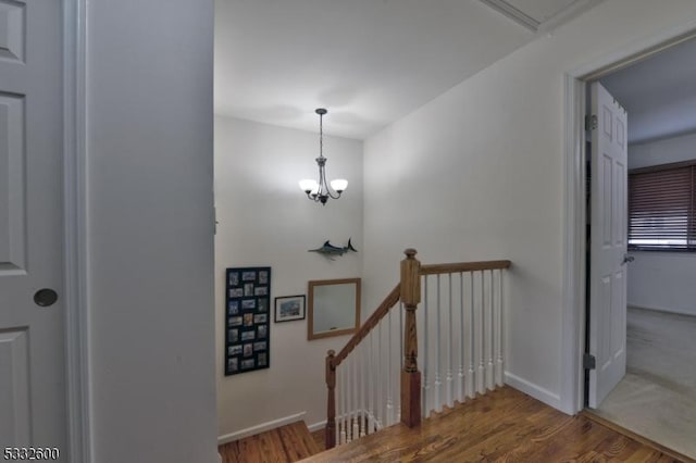 staircase featuring a chandelier and hardwood / wood-style flooring