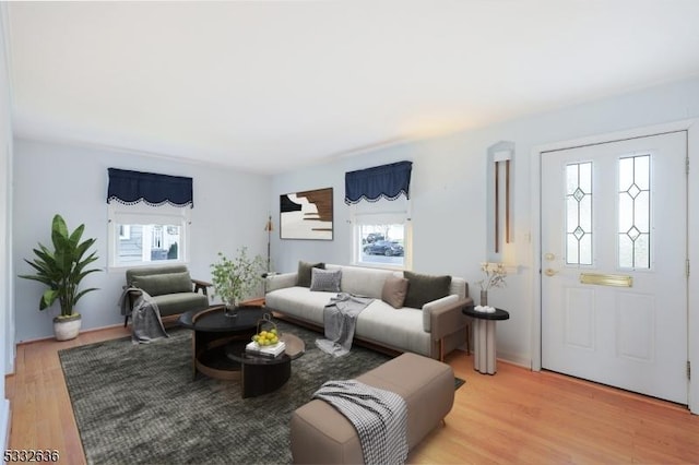 living room featuring light hardwood / wood-style flooring