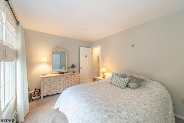 bedroom with carpet floors