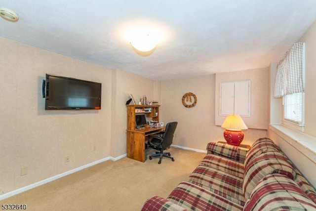 office featuring light colored carpet