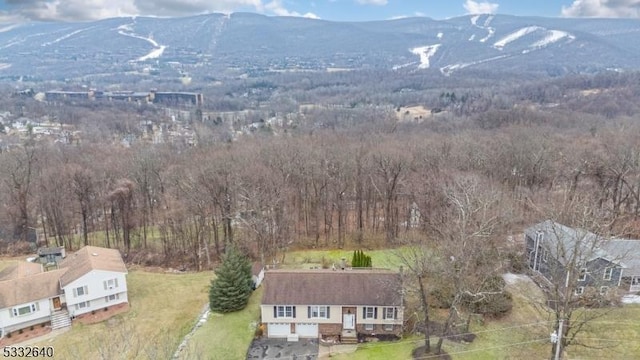 birds eye view of property featuring a mountain view