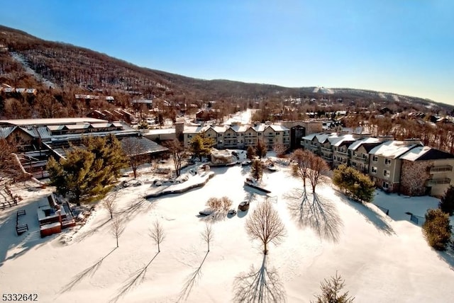 snowy aerial view featuring a mountain view