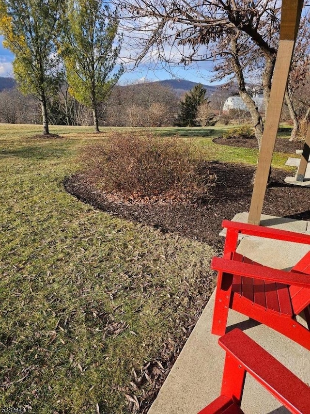 view of yard with a mountain view