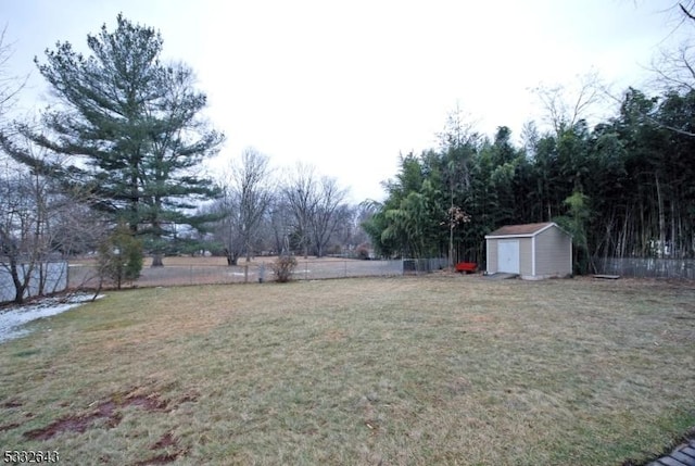 view of yard with a storage shed