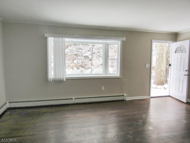 foyer featuring dark wood-type flooring, a healthy amount of sunlight, crown molding, and a baseboard radiator