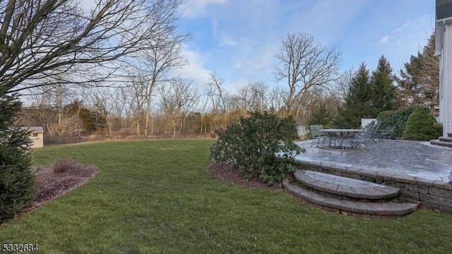 view of yard featuring a patio area