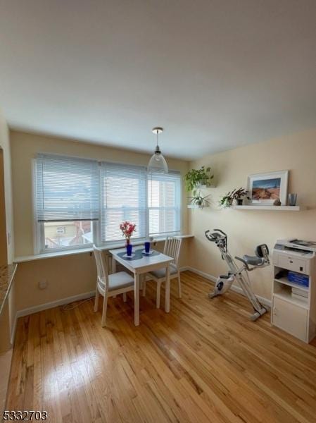 dining area with light hardwood / wood-style floors