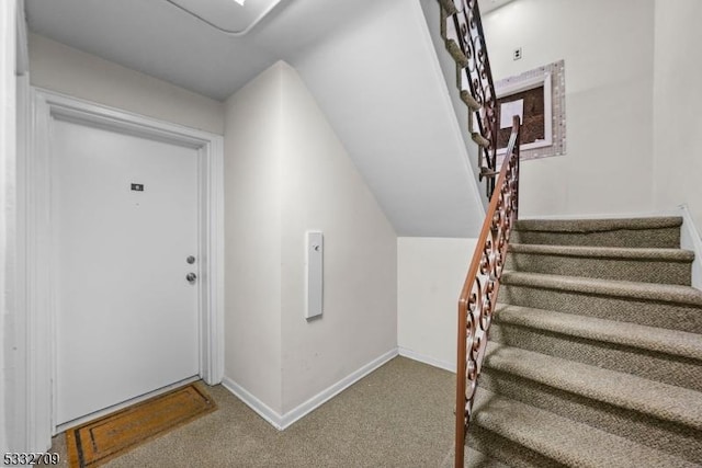 stairs featuring carpet floors