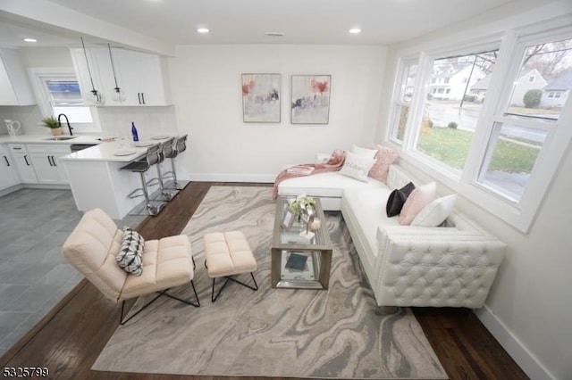 living room featuring hardwood / wood-style floors and sink