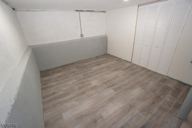 interior space featuring light hardwood / wood-style flooring and a closet