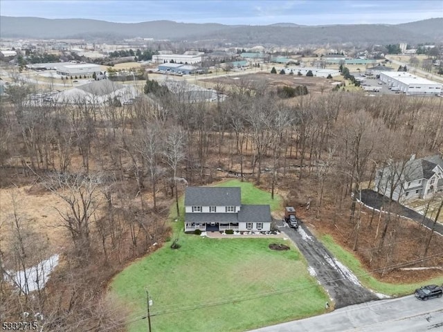 birds eye view of property featuring a mountain view