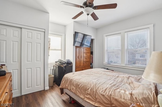 bedroom with ceiling fan and dark hardwood / wood-style floors