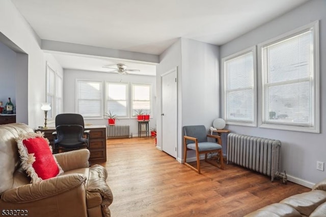 living room with ceiling fan, a healthy amount of sunlight, radiator heating unit, and wood-type flooring