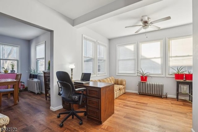 office space featuring a healthy amount of sunlight, light hardwood / wood-style flooring, and radiator heating unit