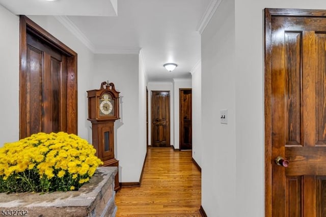 hall featuring light wood-type flooring and crown molding