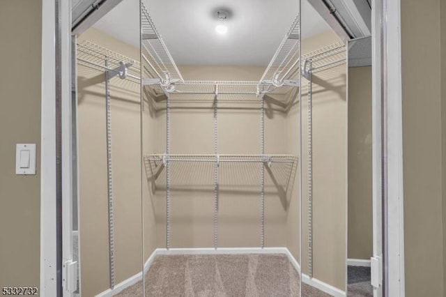 spacious closet featuring carpet flooring