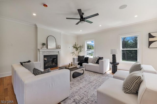 living room with light hardwood / wood-style floors, ornamental molding, and a premium fireplace