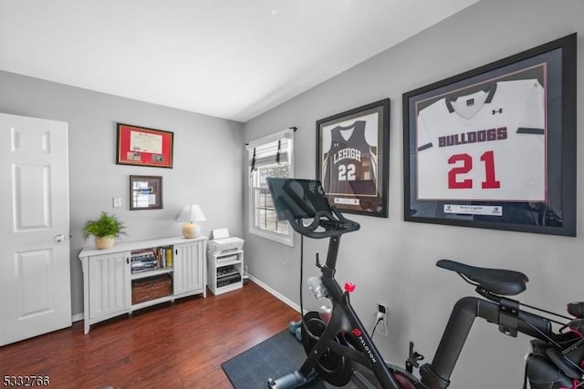 exercise room featuring dark wood-type flooring