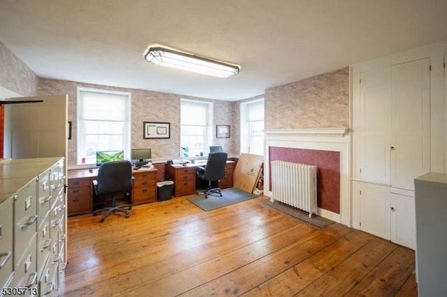 office featuring radiator and light wood-type flooring