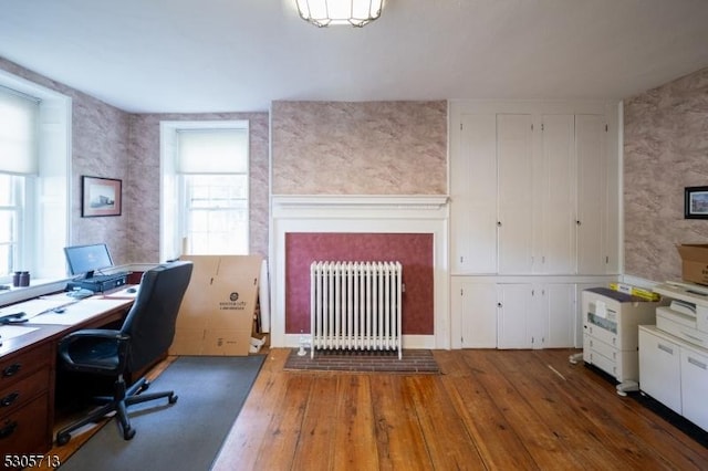 office area featuring dark hardwood / wood-style floors and radiator