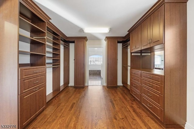 spacious closet with dark hardwood / wood-style flooring