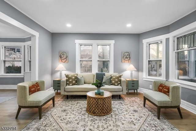 sitting room featuring hardwood / wood-style floors