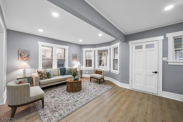 living room with hardwood / wood-style flooring