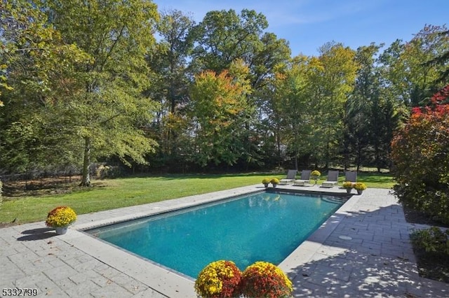 view of swimming pool featuring a lawn and a patio area