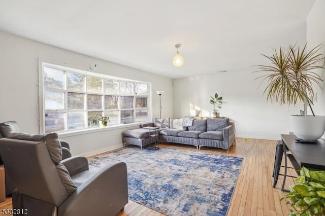 living room featuring light hardwood / wood-style floors and a healthy amount of sunlight