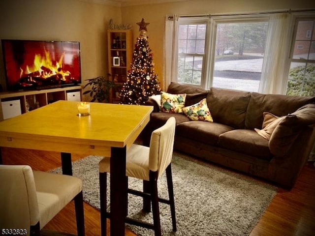 dining room with hardwood / wood-style floors