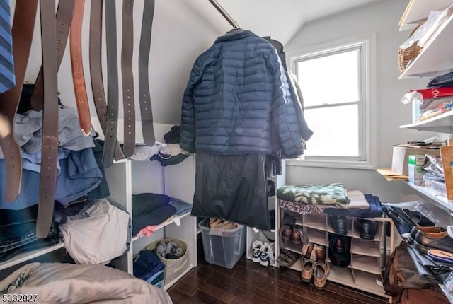 spacious closet featuring vaulted ceiling