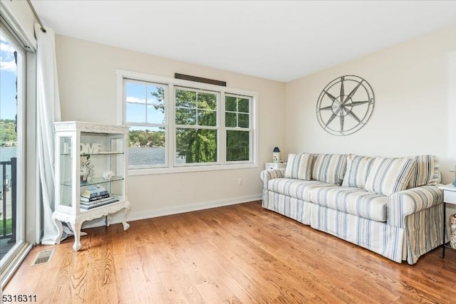 living room with light hardwood / wood-style floors and plenty of natural light