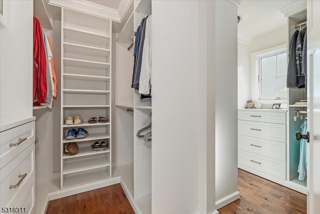 walk in closet with hardwood / wood-style floors